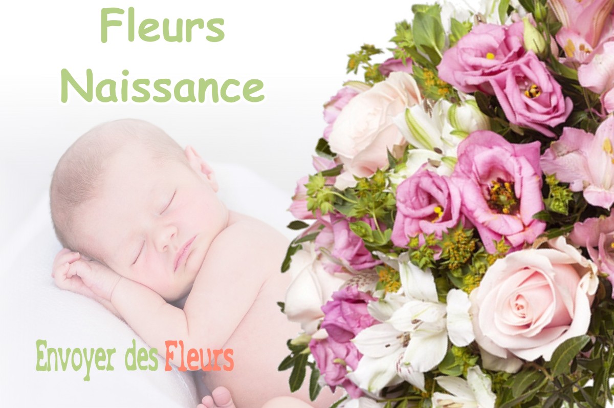 lIVRAISON FLEURS NAISSANCE à SAINT-ETIENNE-DU-GRES